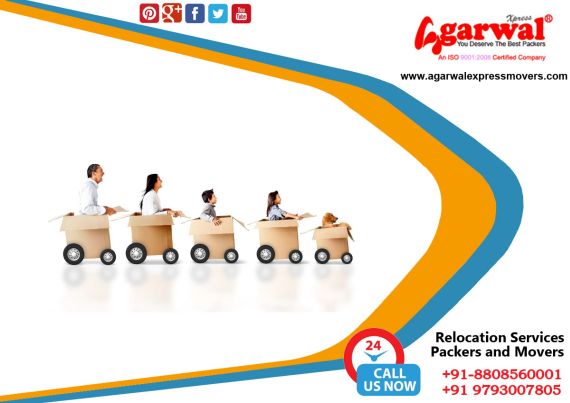 Packing and Moving Solutions in Barabanki