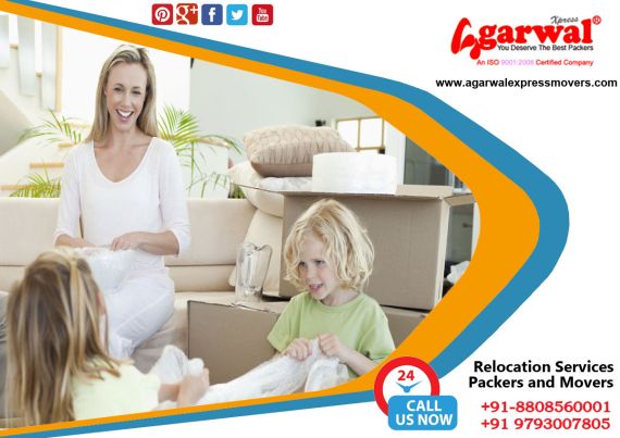 Packing and Moving Solutions